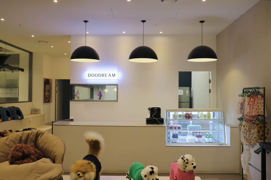서울 강남 애견 유치원 스타몽: 비용, 픽업, 시설 완벽 분석 — 사진 10