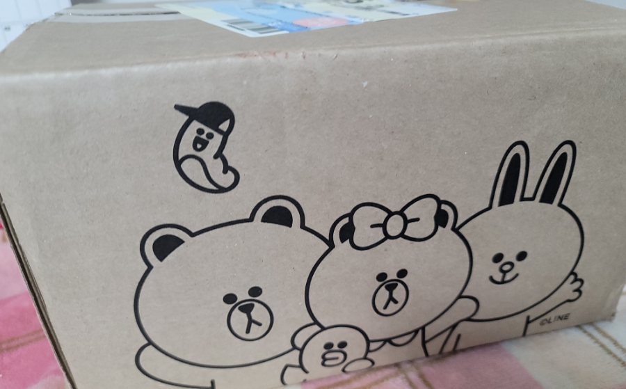 버버니 이미지