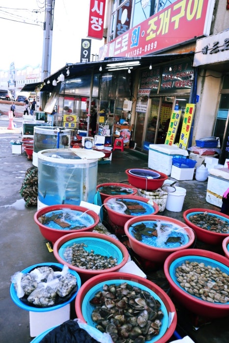 베드로수산 이미지