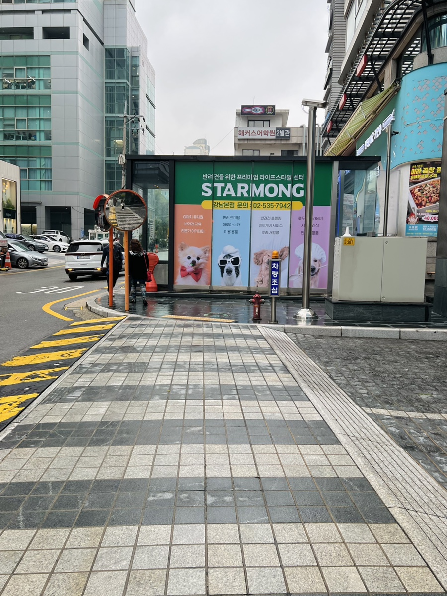 서울 강남 애견 유치원 스타몽: 비용, 픽업, 시설 완벽 분석 — 사진 2