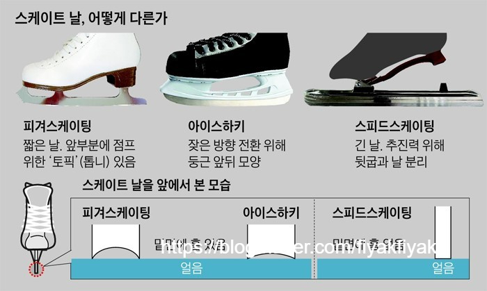 춘천실내빙상장 이미지