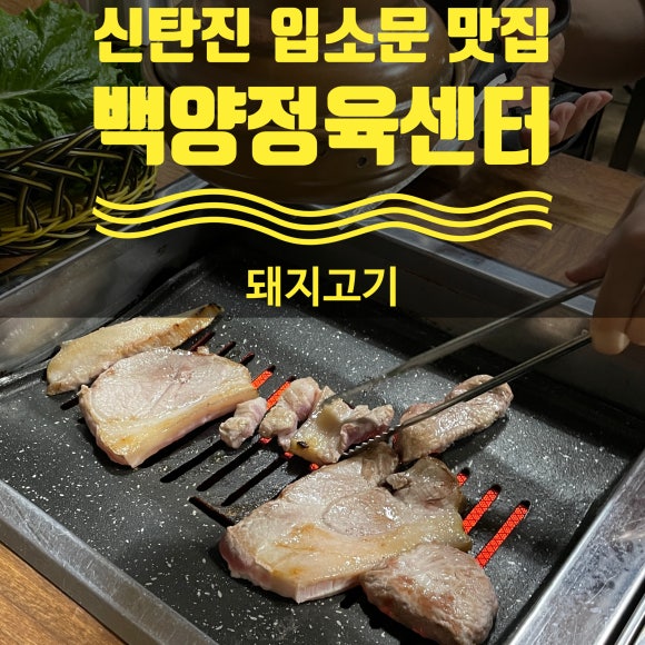 대전백양 이미지