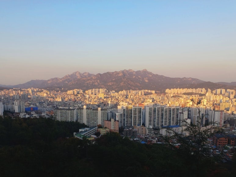 우리동네아구찜떡볶이 이미지