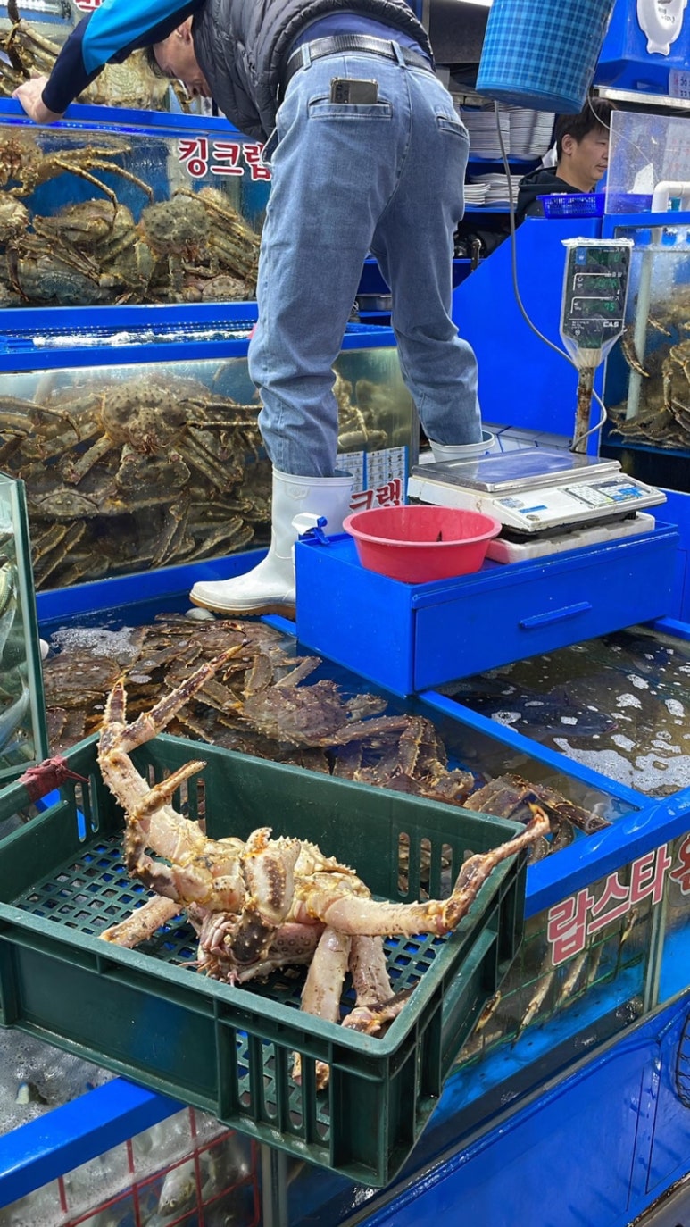 가락수산 이미지