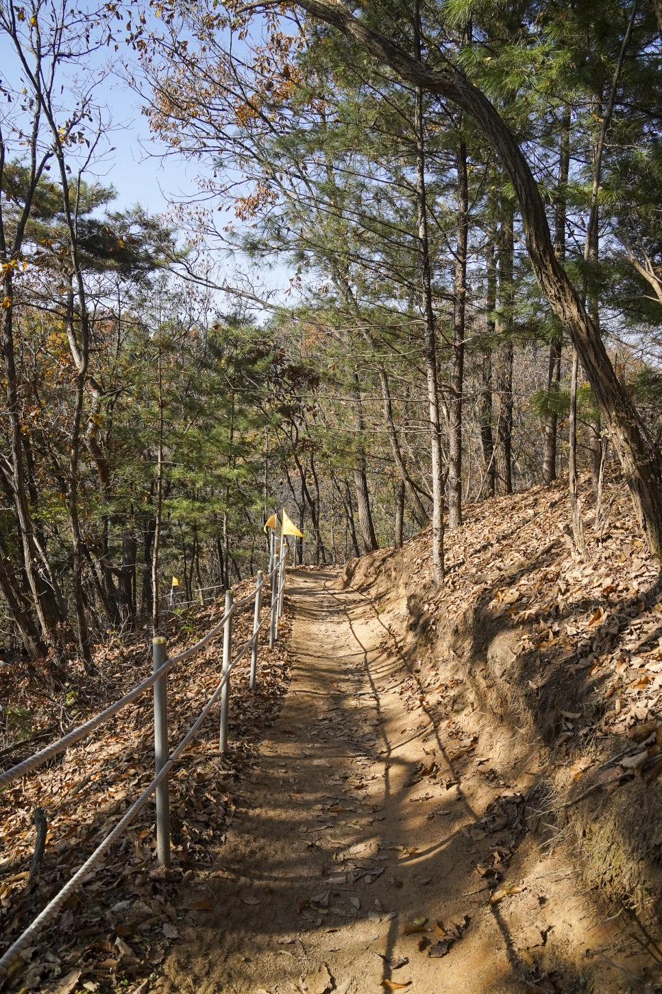 일번지토종한우 이미지