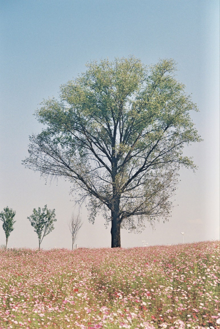 연정필름 이미지