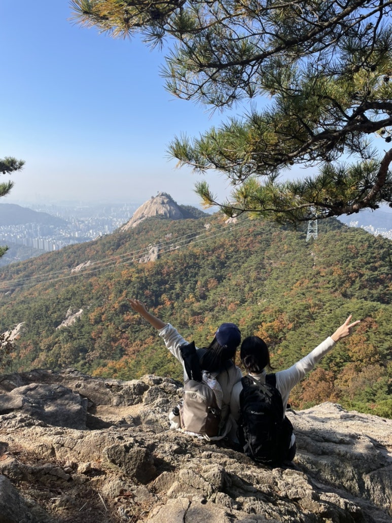 각시보쌈 이미지