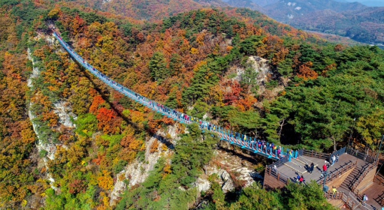 횡성한우곱창알천 이미지