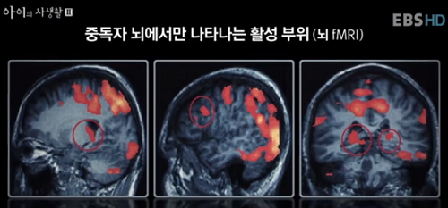티비미디어콘텐츠 이미지