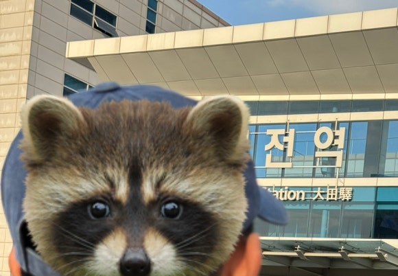 진DoL 이미지