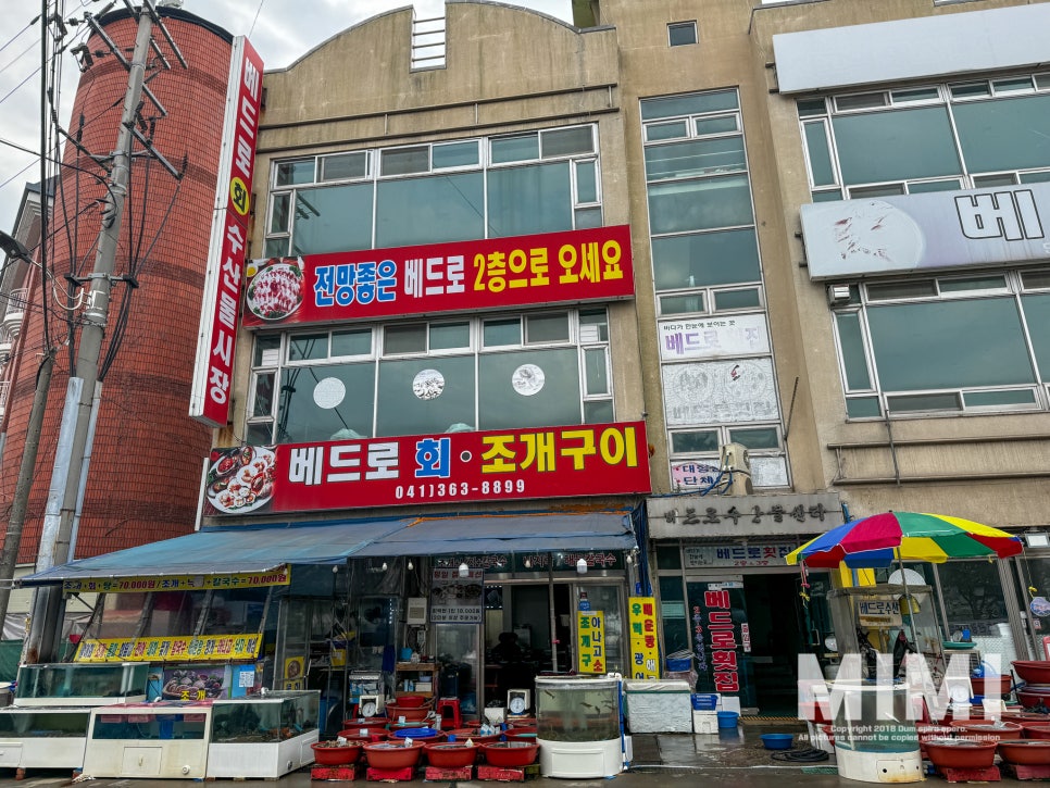 베드로수산물회센타 이미지