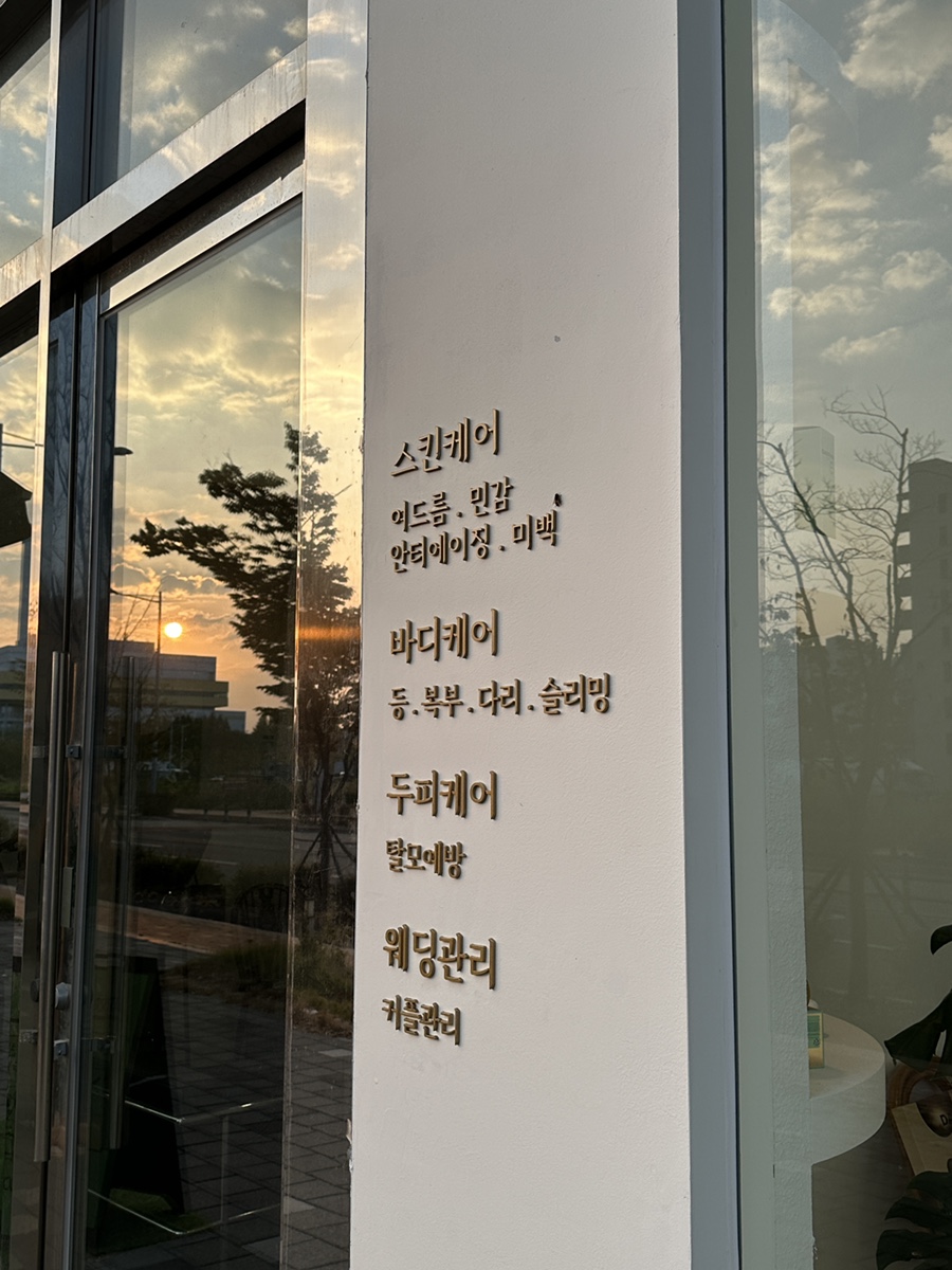 에스테라파 이미지