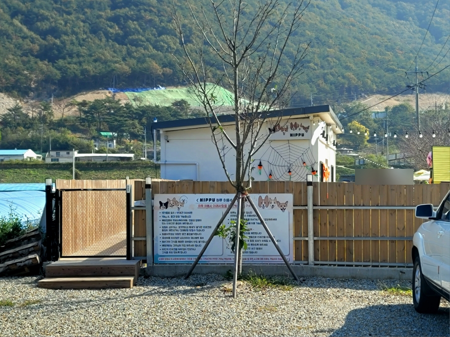 히푸(HIPPU) 이미지