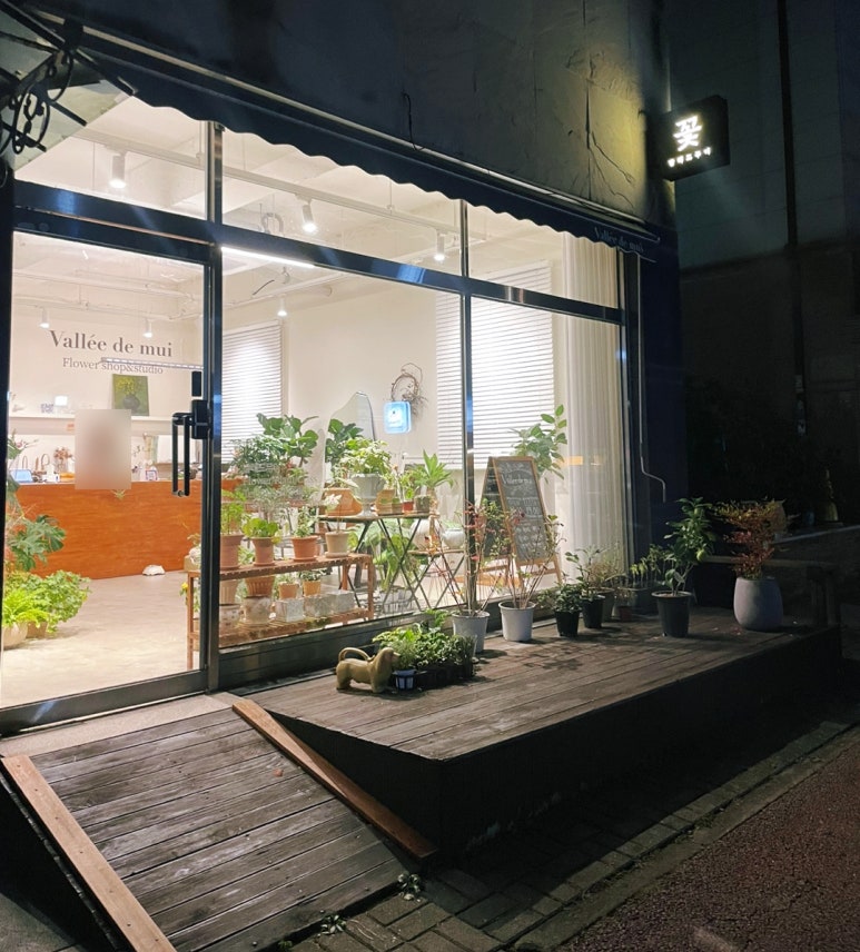 발레드무이 이미지