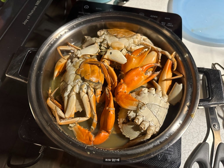 존제산하느제캠핑장 이미지