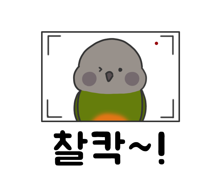 스튜디오두릅 이미지