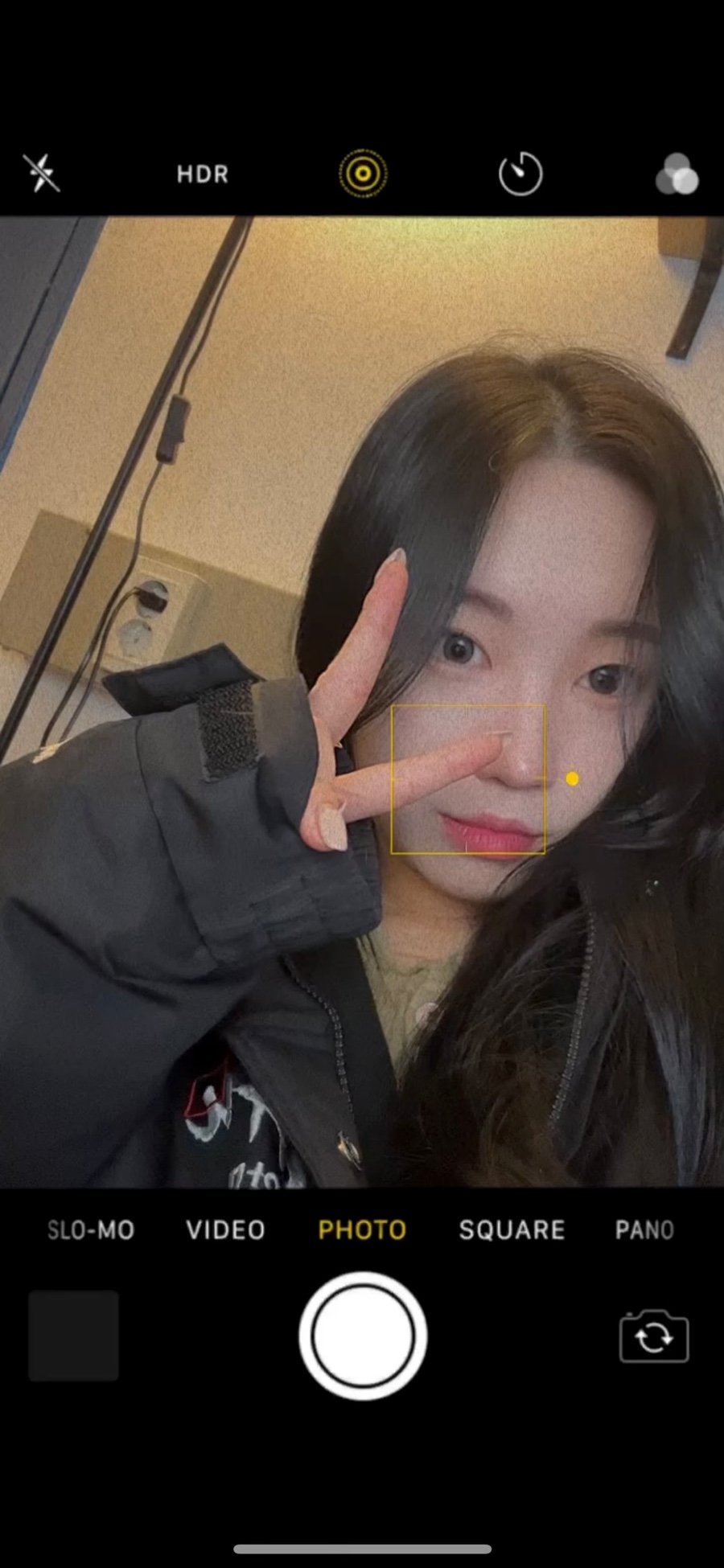 아라실 이미지