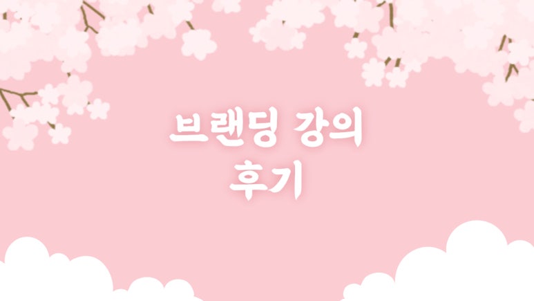 와이파인더 이미지