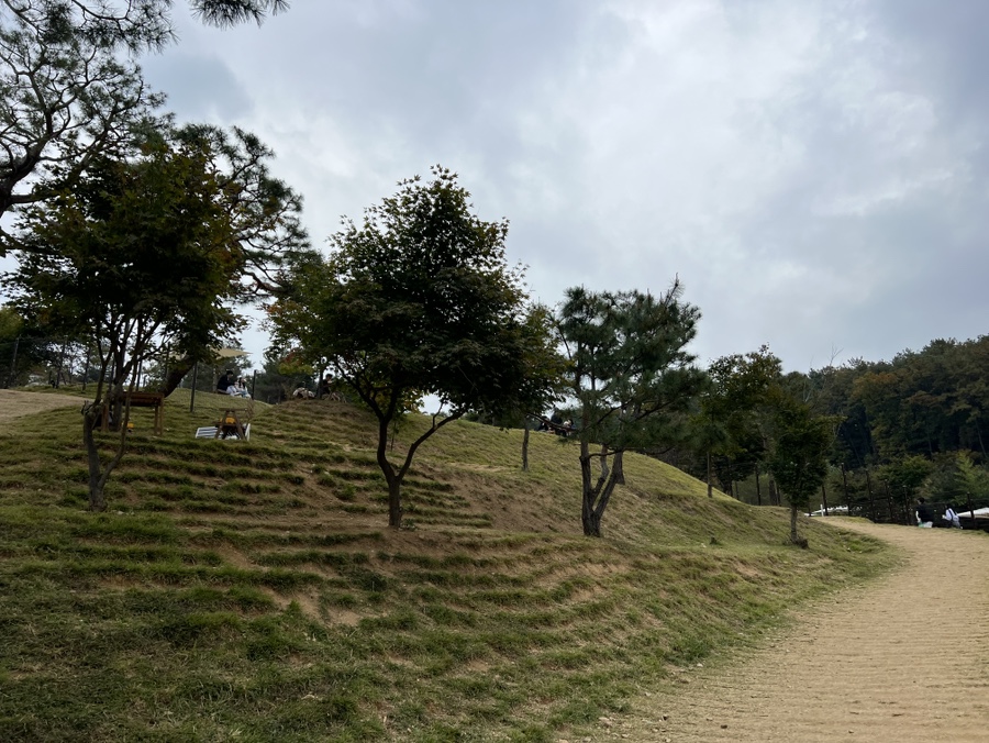 용인 애견동반 카페 테일45, 입장료와 메뉴 후기 — 사진 20