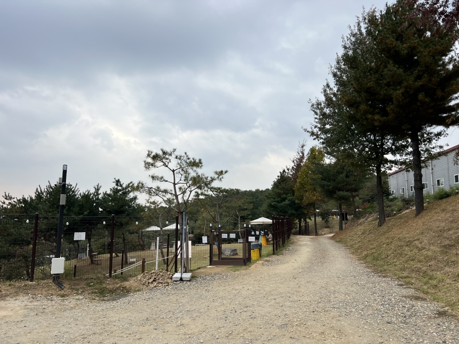 용인 애견동반 카페 테일45, 입장료와 메뉴 후기 — 사진 3