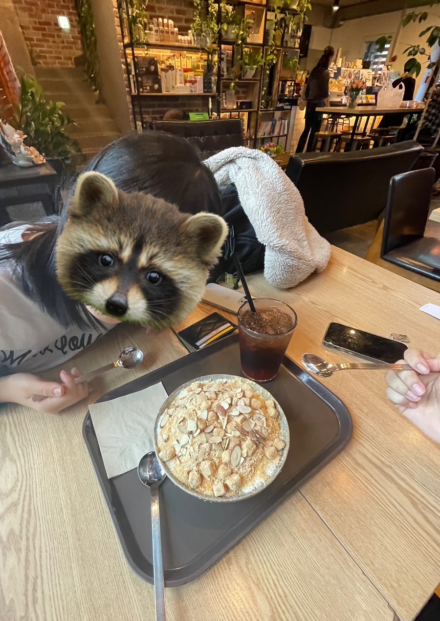 두과 이미지