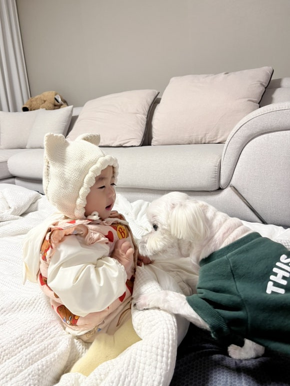 유나이모네 이미지