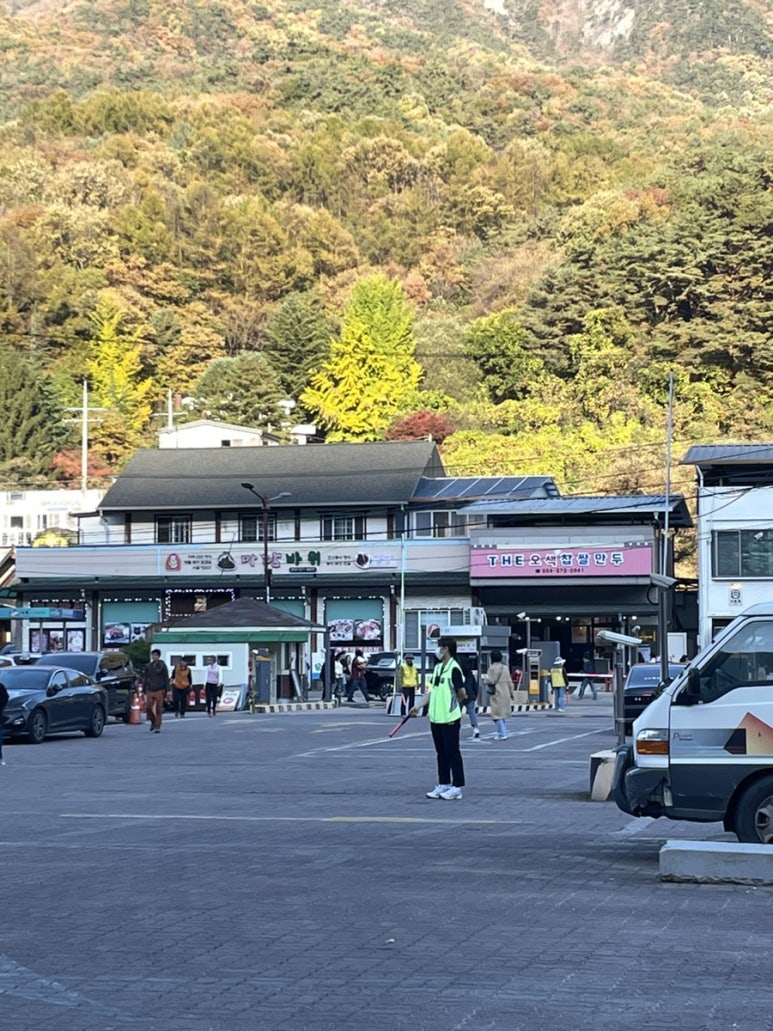 오색찹쌀만두 이미지