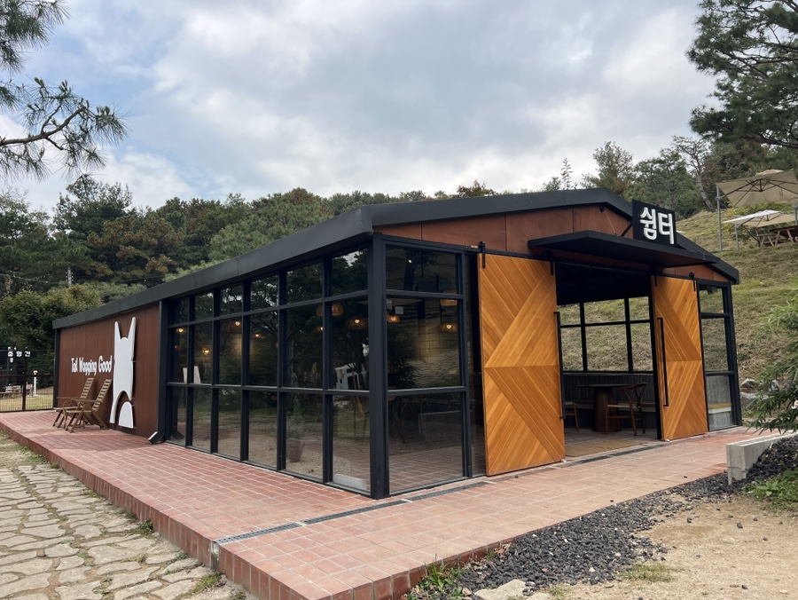 용인 애견동반 카페 테일45, 입장료와 메뉴 후기 — 사진 12