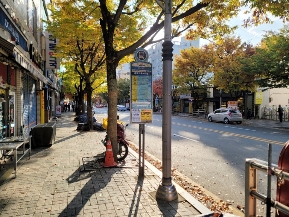 항도청과 이미지