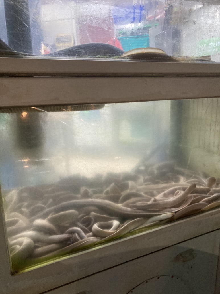 강원곰장어 이미지