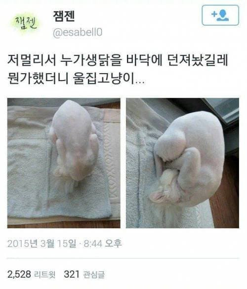 생닭집 이미지