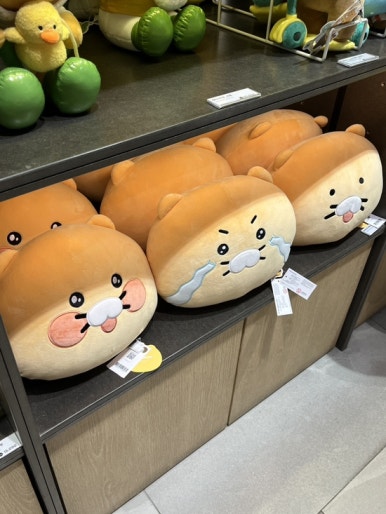 보송서점 이미지