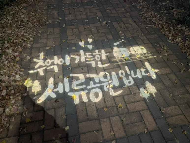 도디네일 이미지
