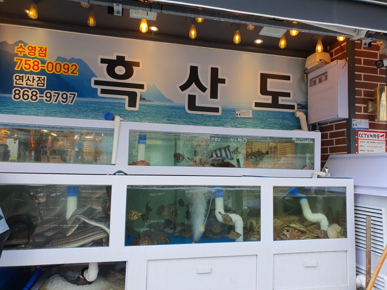 흑산도장어구이 이미지