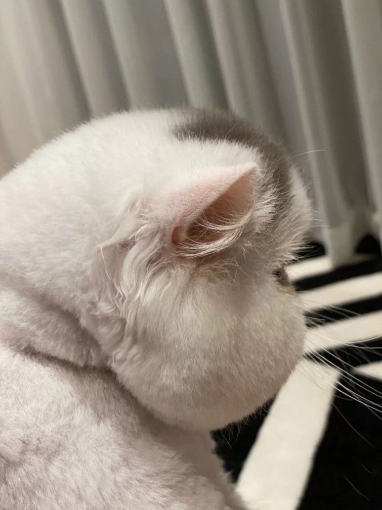 락락 이미지