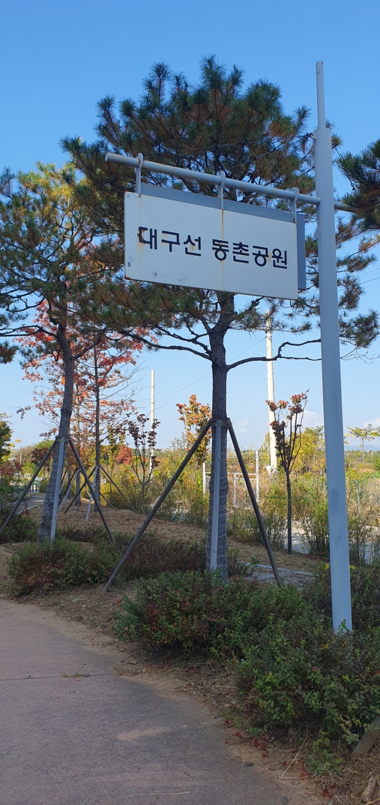 대구선동촌공원 이미지