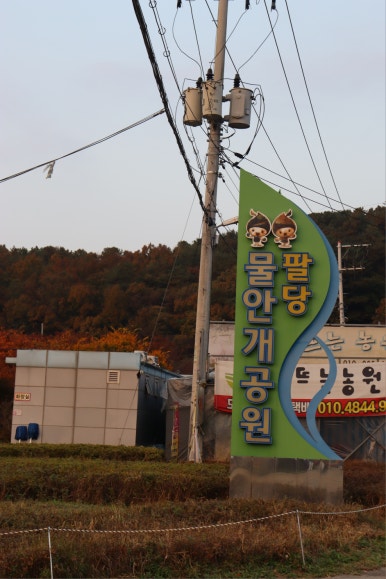 귀여리물안개공원자전거대여소 이미지