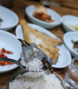 뽀식이식당 이미지