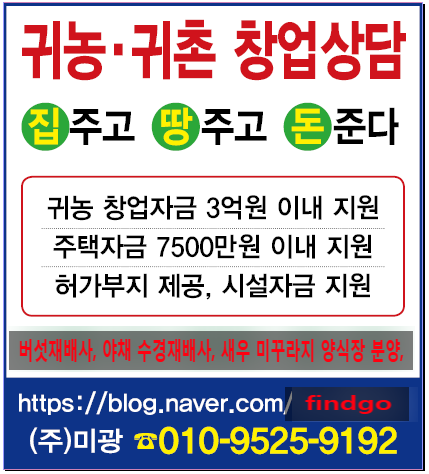 로또하복대두진점 이미지