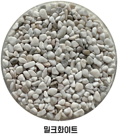 세이프룻 이미지