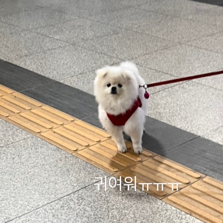 이플러스할인마트 이미지