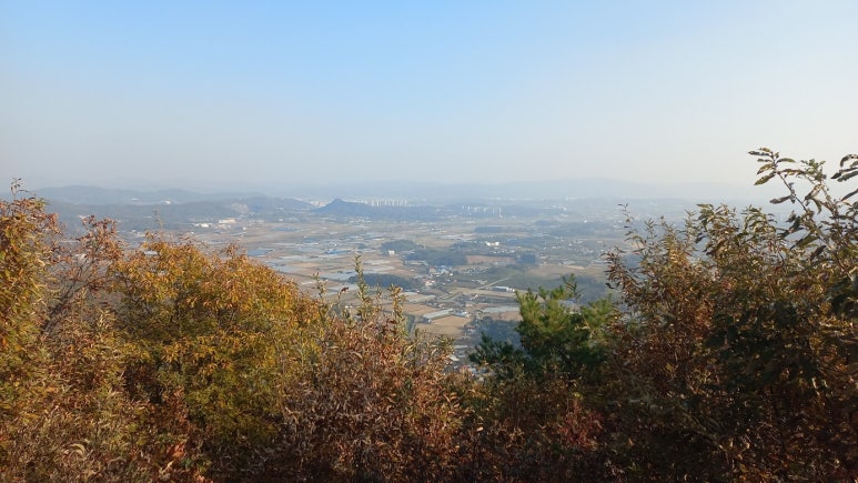 고성산 정상 전망대 이미지
