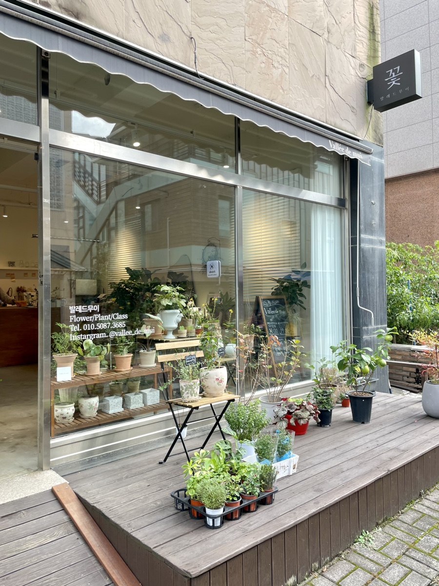 발레드무이 이미지