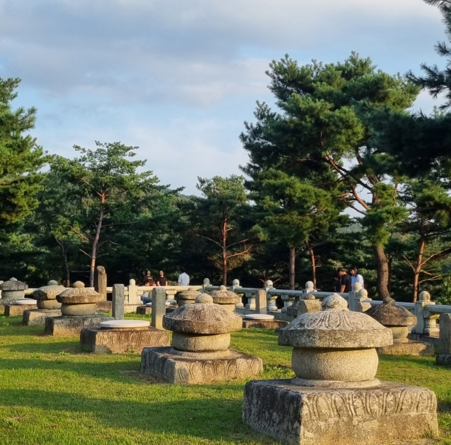 성주당구장 이미지