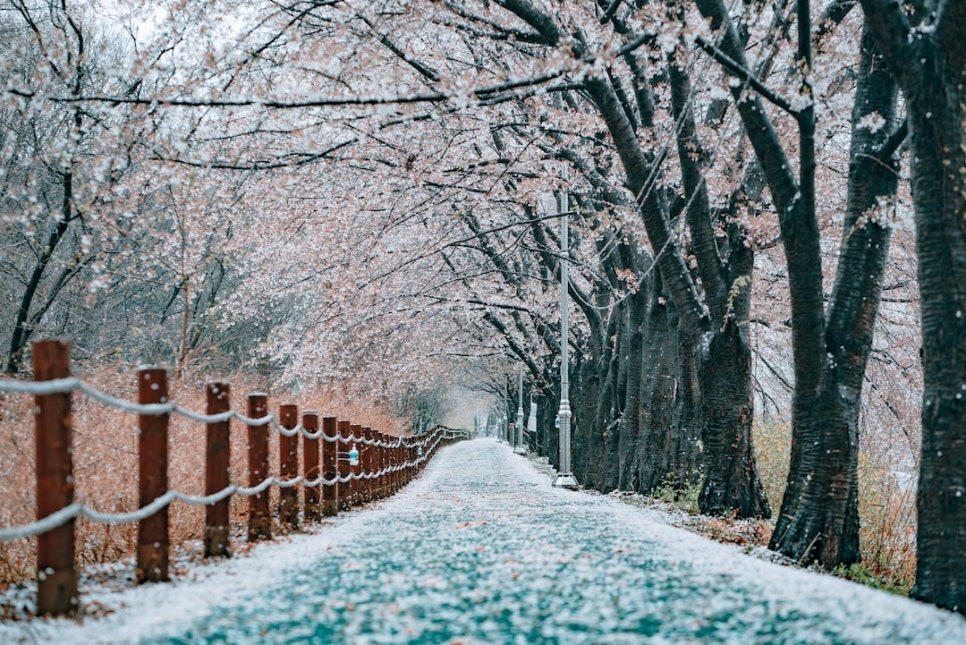 고운정 이미지