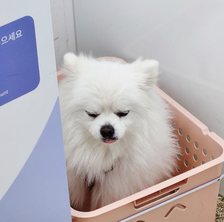성안길포토시그니처 이미지