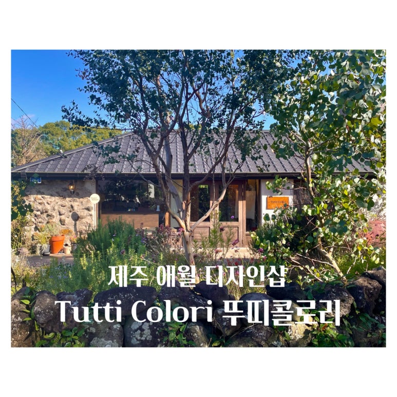 디자인뮤제오 이미지