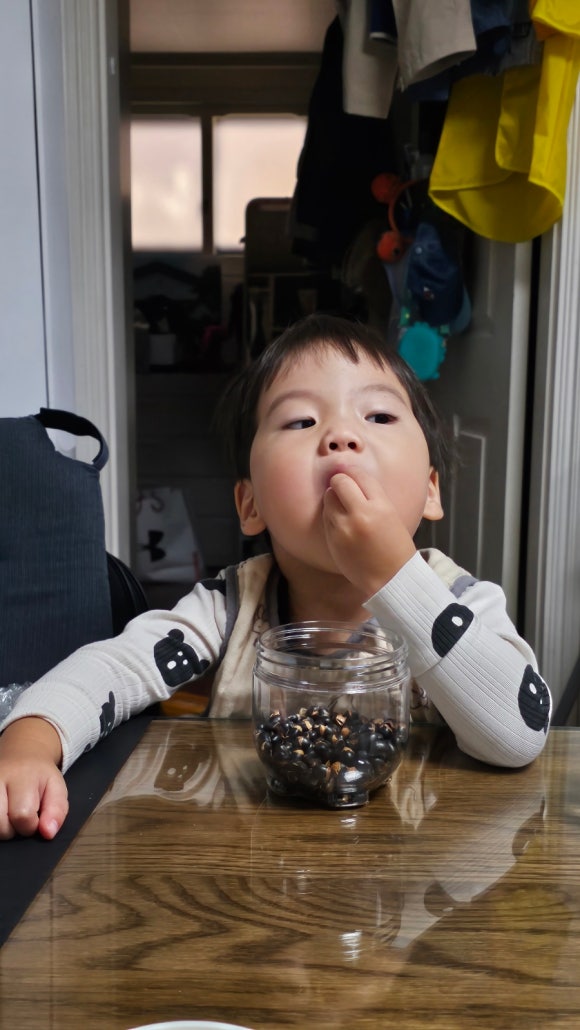 콩쟁이 이미지