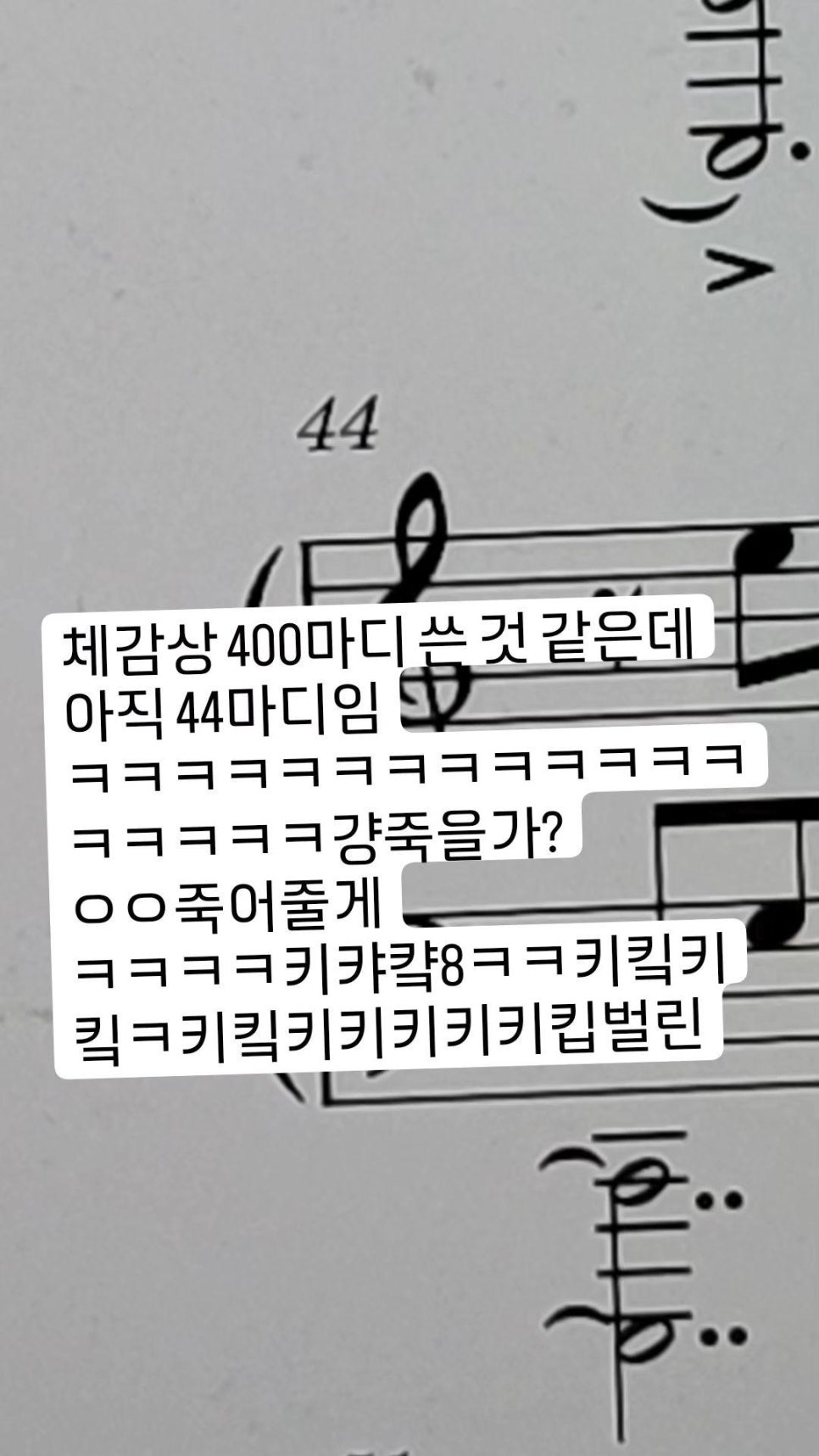키키앤리 이미지