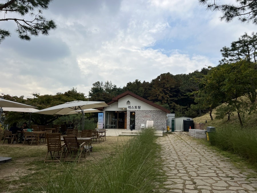 용인 애견동반 카페 테일45, 입장료와 메뉴 후기 — 사진 13